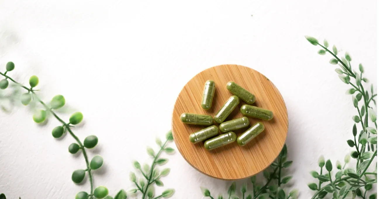 5-benefits-of-seed-synbiotic-for-your-health