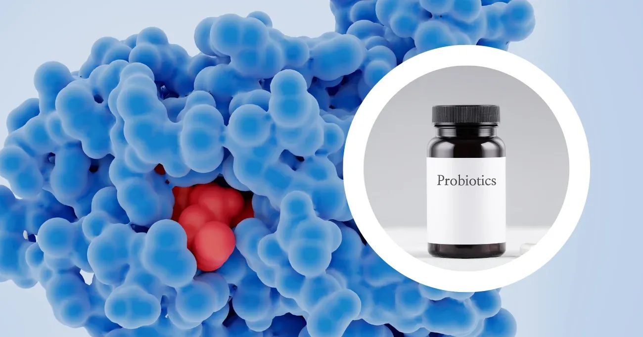 digestive-enzymes-vs-probiotics-main-differences