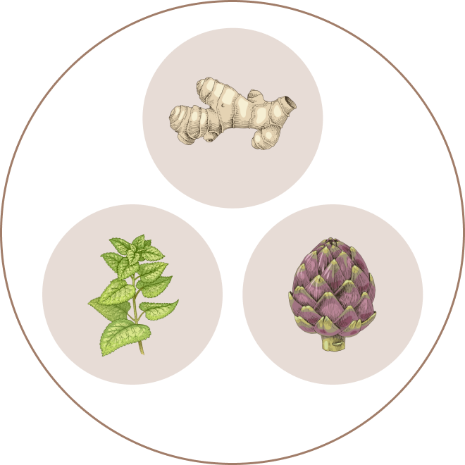 how Nudge impact the gut